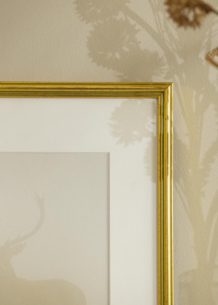 Estancia Frame Classic Gold 40x50 cm