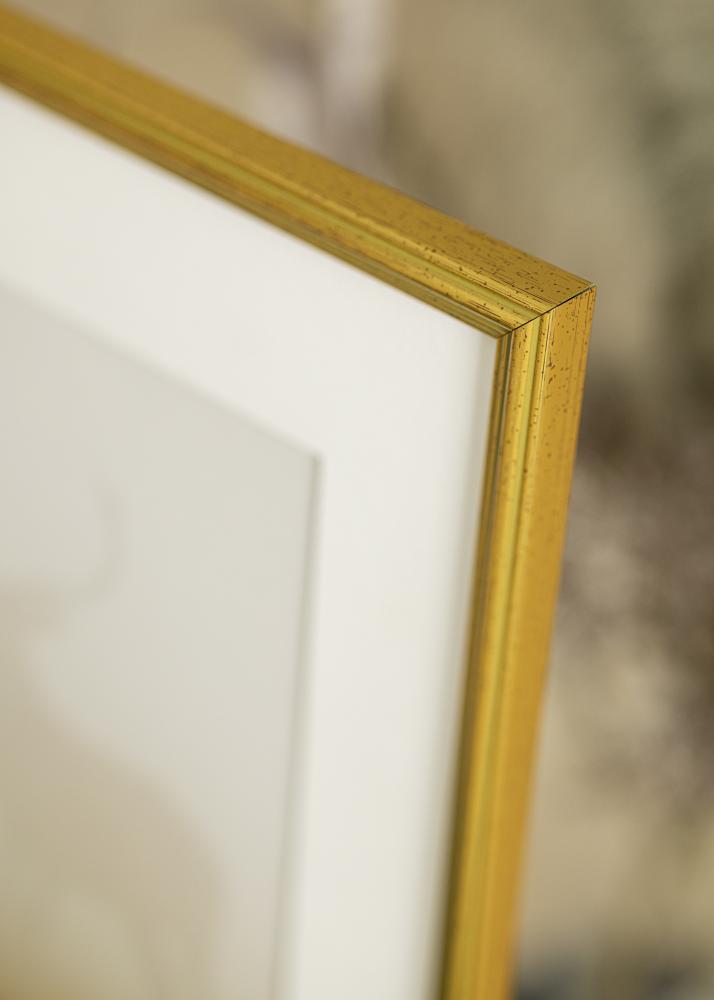 Estancia Frame Classic Gold 20x25 cm