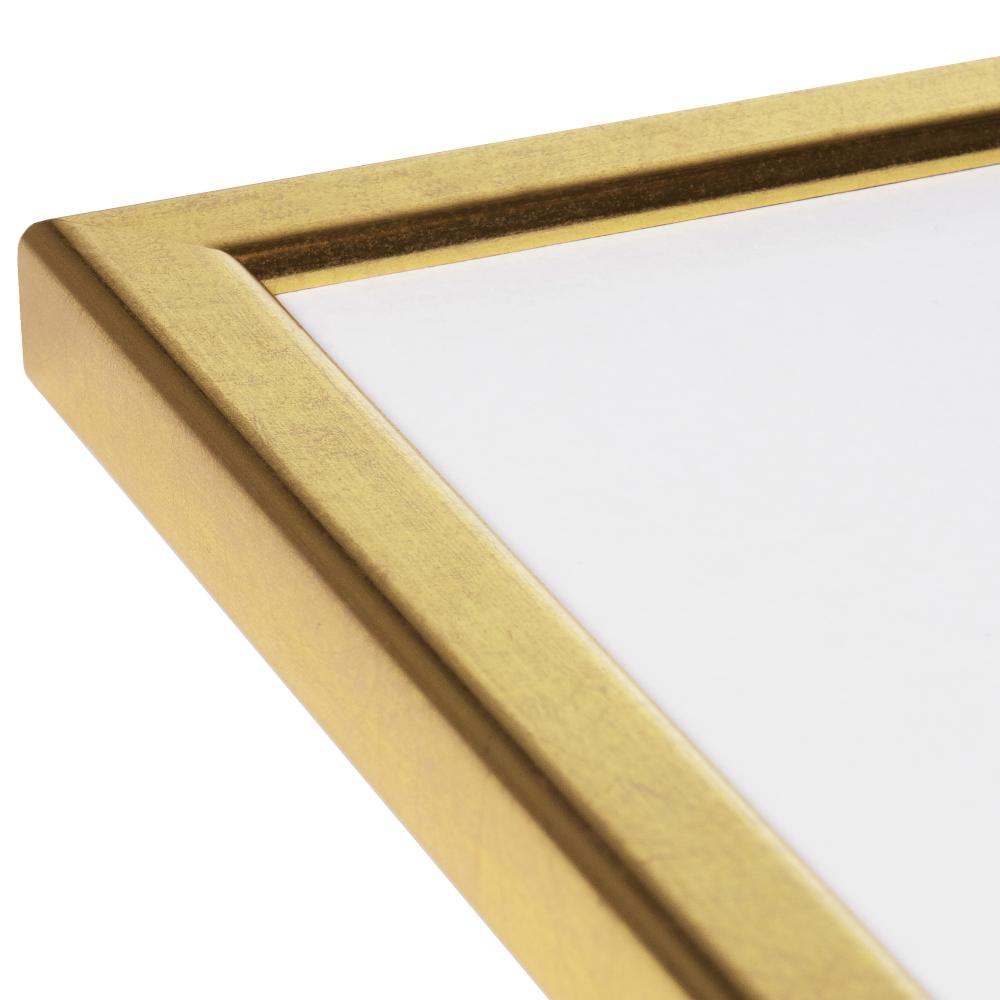 HHC Distribution Frame Slim Matt Anti-reflective glass Gold 20x25 cm