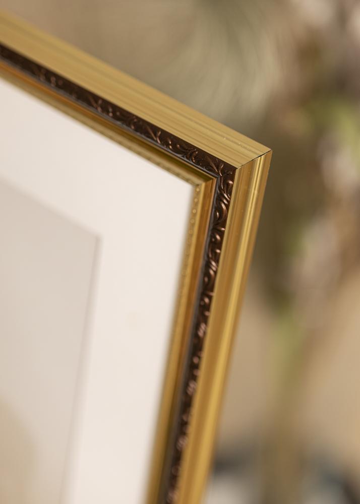 Galleri 1 Frame Abisko Acrylic Glass Gold 50x75 cm