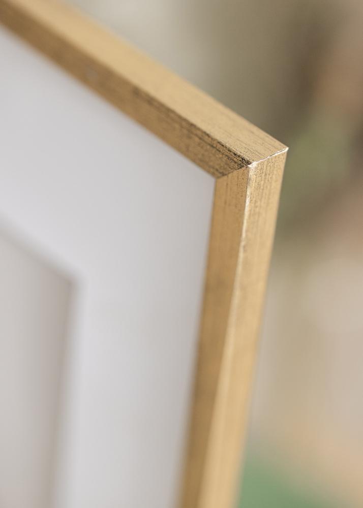 Estancia Frame Gallant Gold 13x18 cm