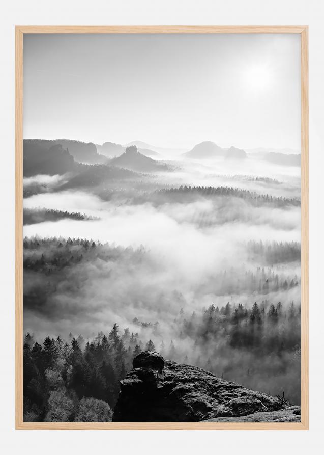 Bildverkstad Foggy Forest Black & White I - 50x70 cm Poster