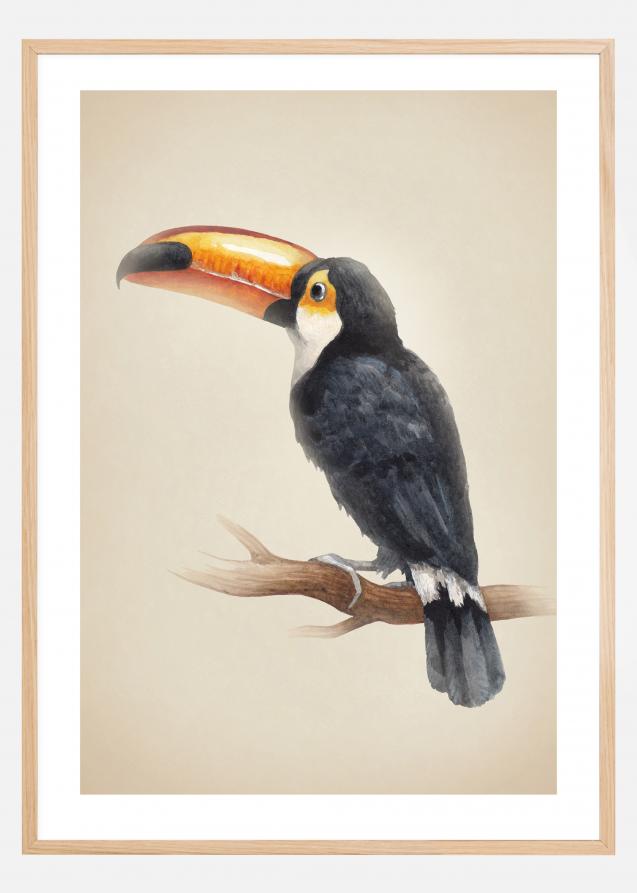 Bildverkstad Tropical Toucan Poster