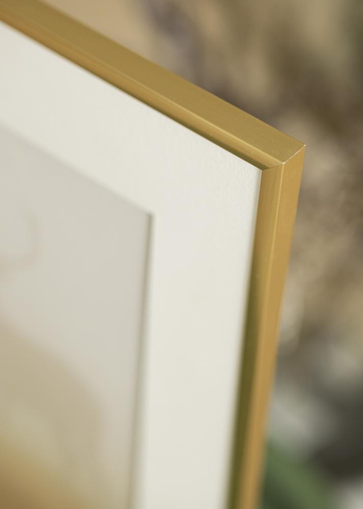 Walther Frame New Lifestyle Acrylic glass Shiny Gold 30x40 cm