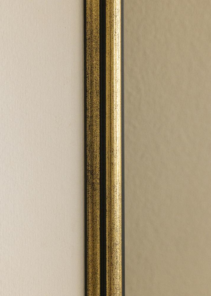 Galleri 1 Frame Horndal Acrylic Glass Gold 50x70 cm