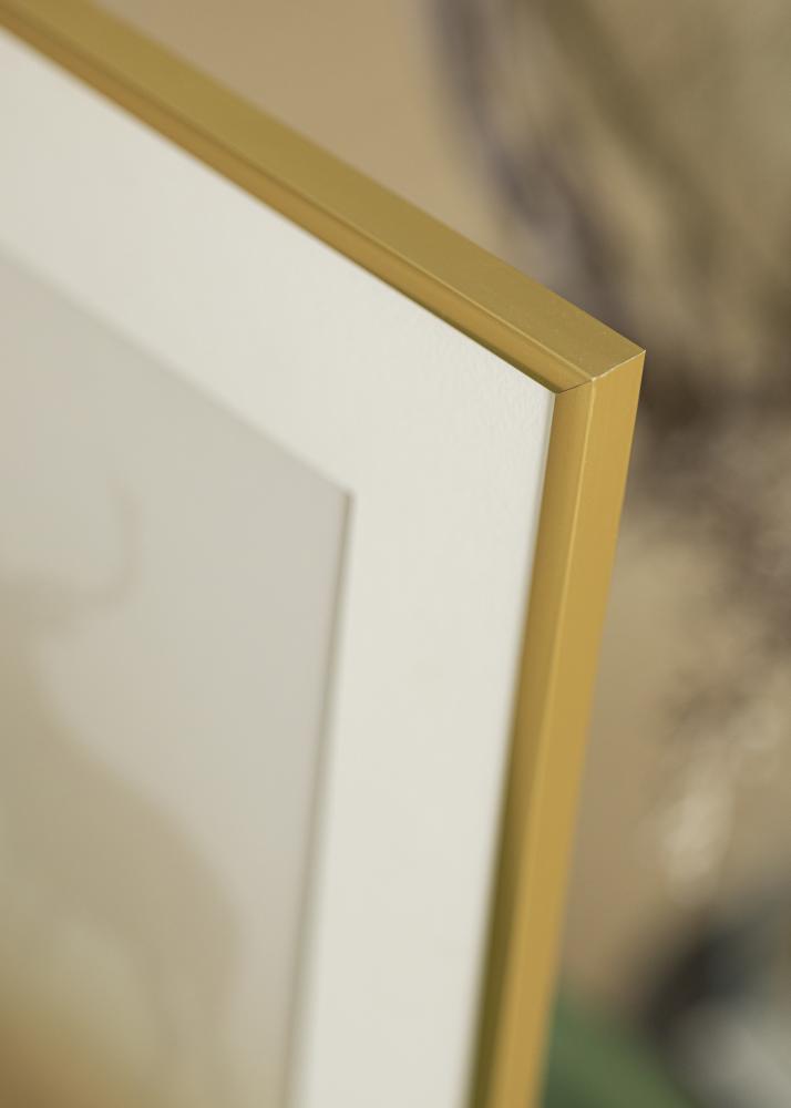 Walther Frame New Lifestyle Acrylic glass Gold 29,7x42 cm (A3)